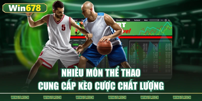 Nhiều môn thể thao cung cấp kèo cược thưởng lớn